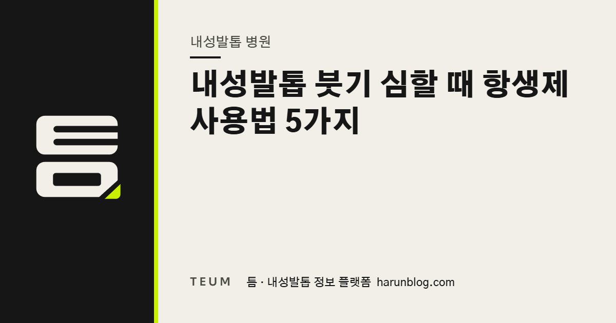 내성발톱 붓기 심할 때 항생제 사용법 5가지 — 틈 내성발톱 정보 플랫폼