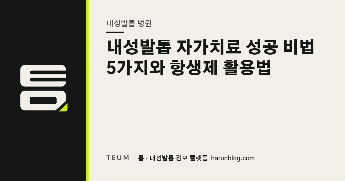 내성발톱 자가치료 성공 비법 5가지와 항생제 활용법 — 틈 내성발톱 정보 플랫폼